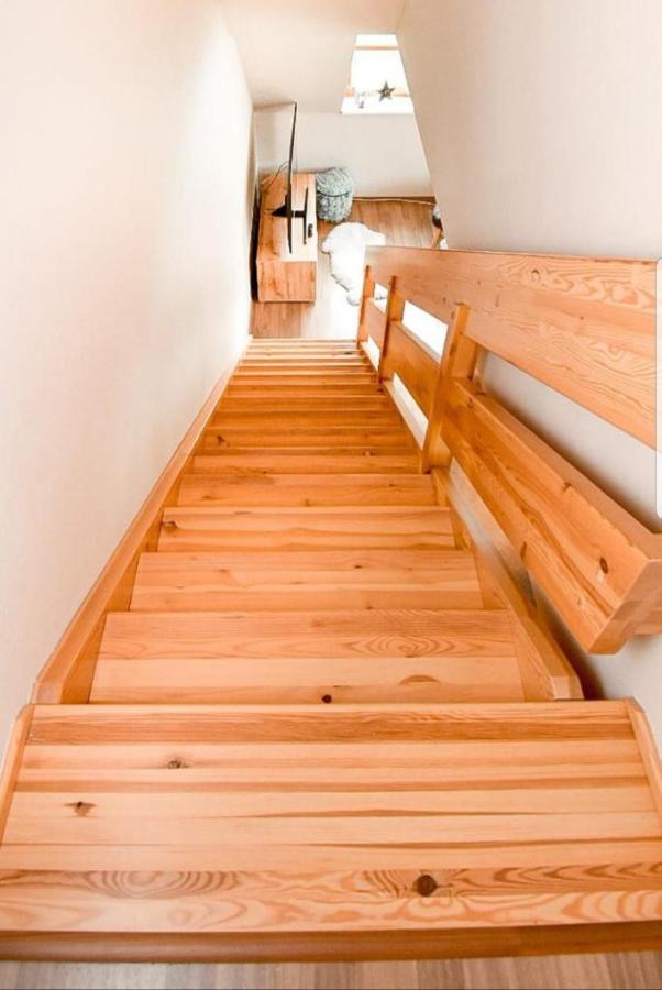 S Terasou Apartment Ricky (Hradec Kralove)